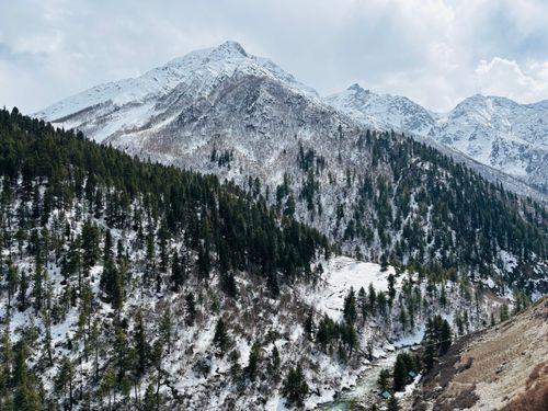 Free Stunning winter mountain scene with snow and pine forests Stock Photo