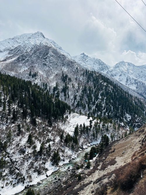 Free Scenic view of a snow-covered mountain range with dense pine forests and winding river. Stock Photo