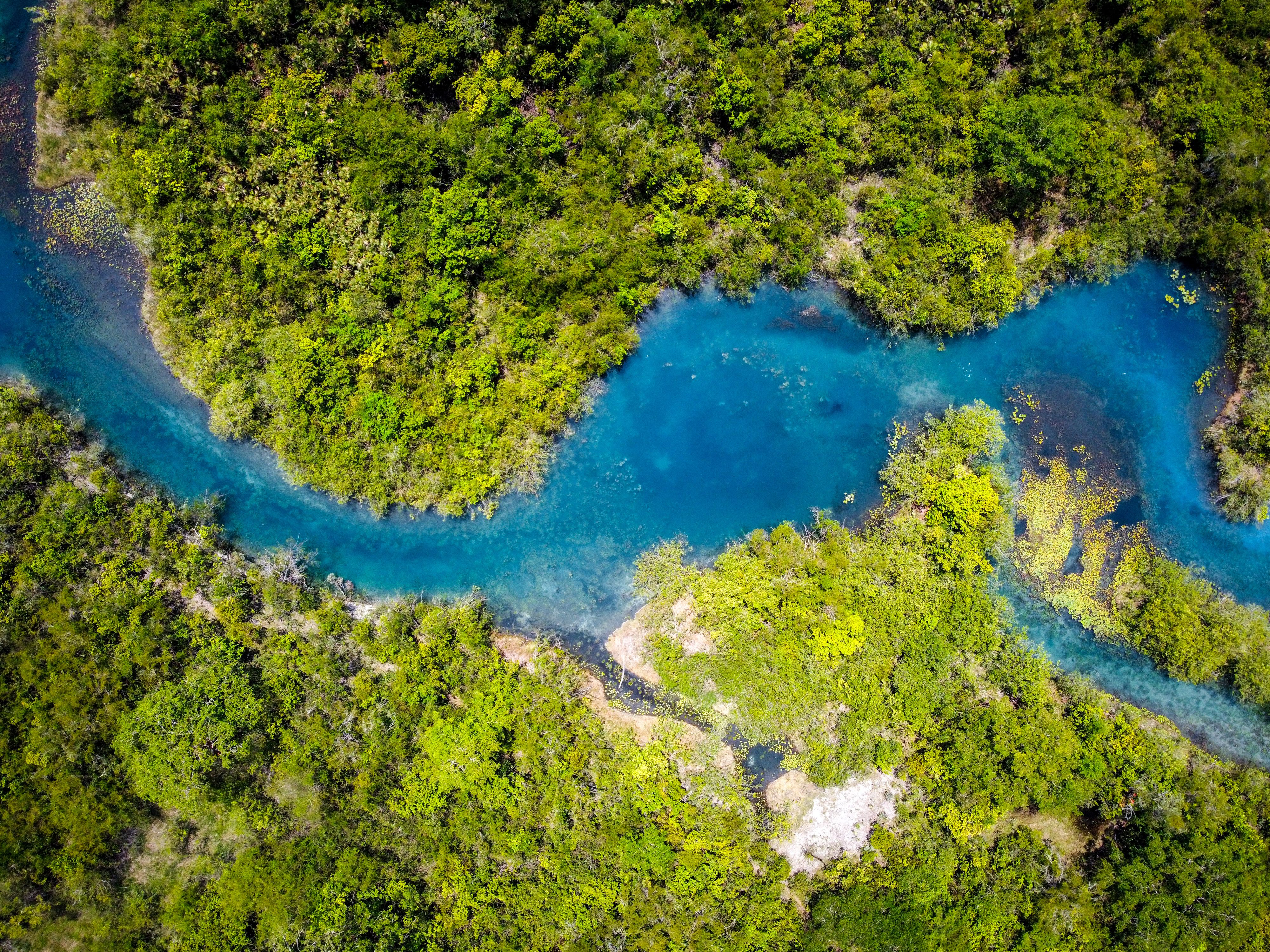 Stunning Aerial View of Blue River Bend in Lush Forest · Free Stock Photo