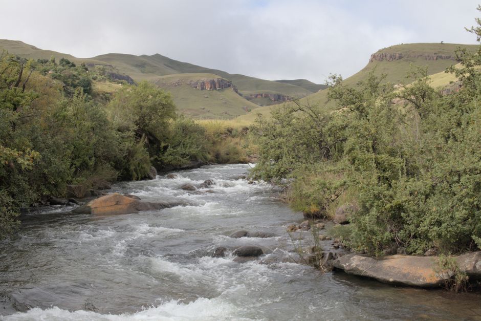 Unforgettable Full Day Shared Shark Cage Diving Adventure in Gansbaai Review: An Unforgettable South African Encounter Review 2026 - Beautiful river flowing through the Drakensberg Mountains in South Africa, surrounded by lush greenery.