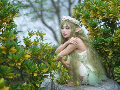 Free A fantasy nymph with green hair in a mystical forest setting among lush foliage. Stock Photo