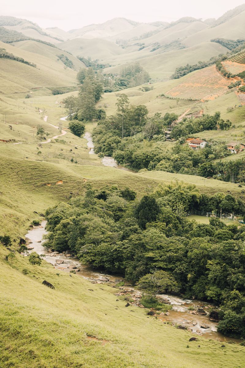 Explore the lush green valley with winding river and rolling hills under a cloudy sky. Perfect for nature enthusiasts.