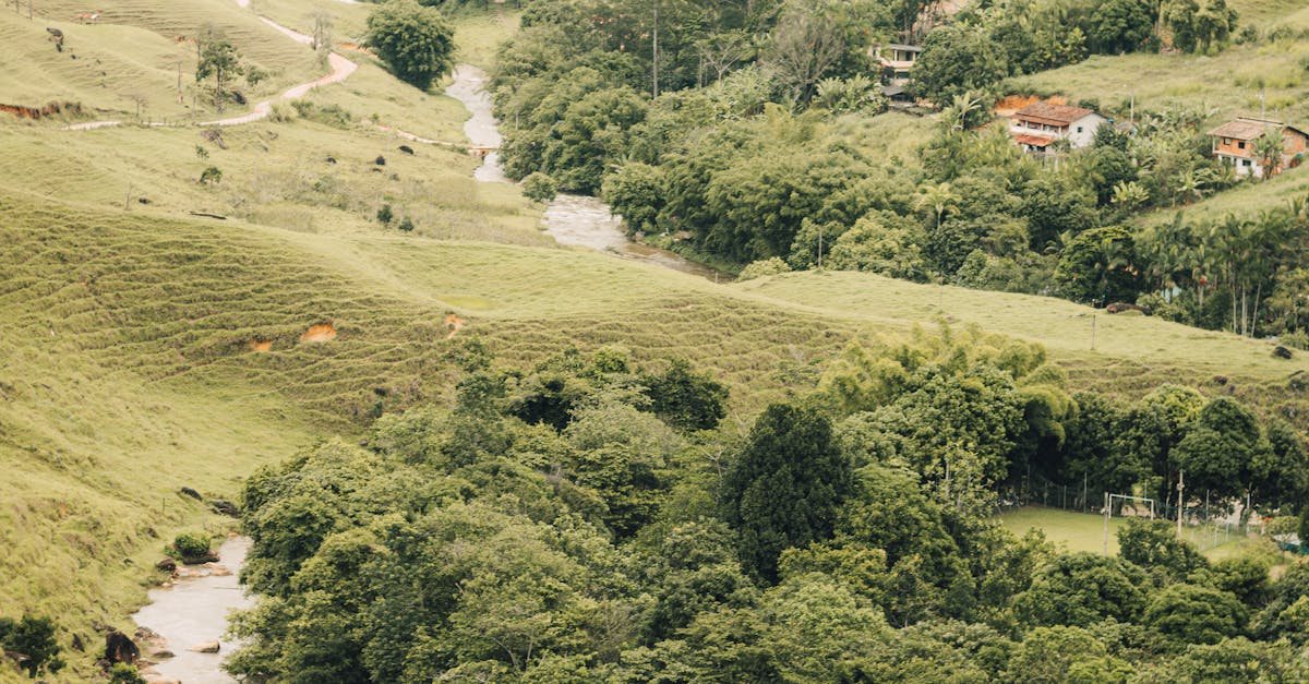體驗農村生活 新北推農再社區賞螢活動