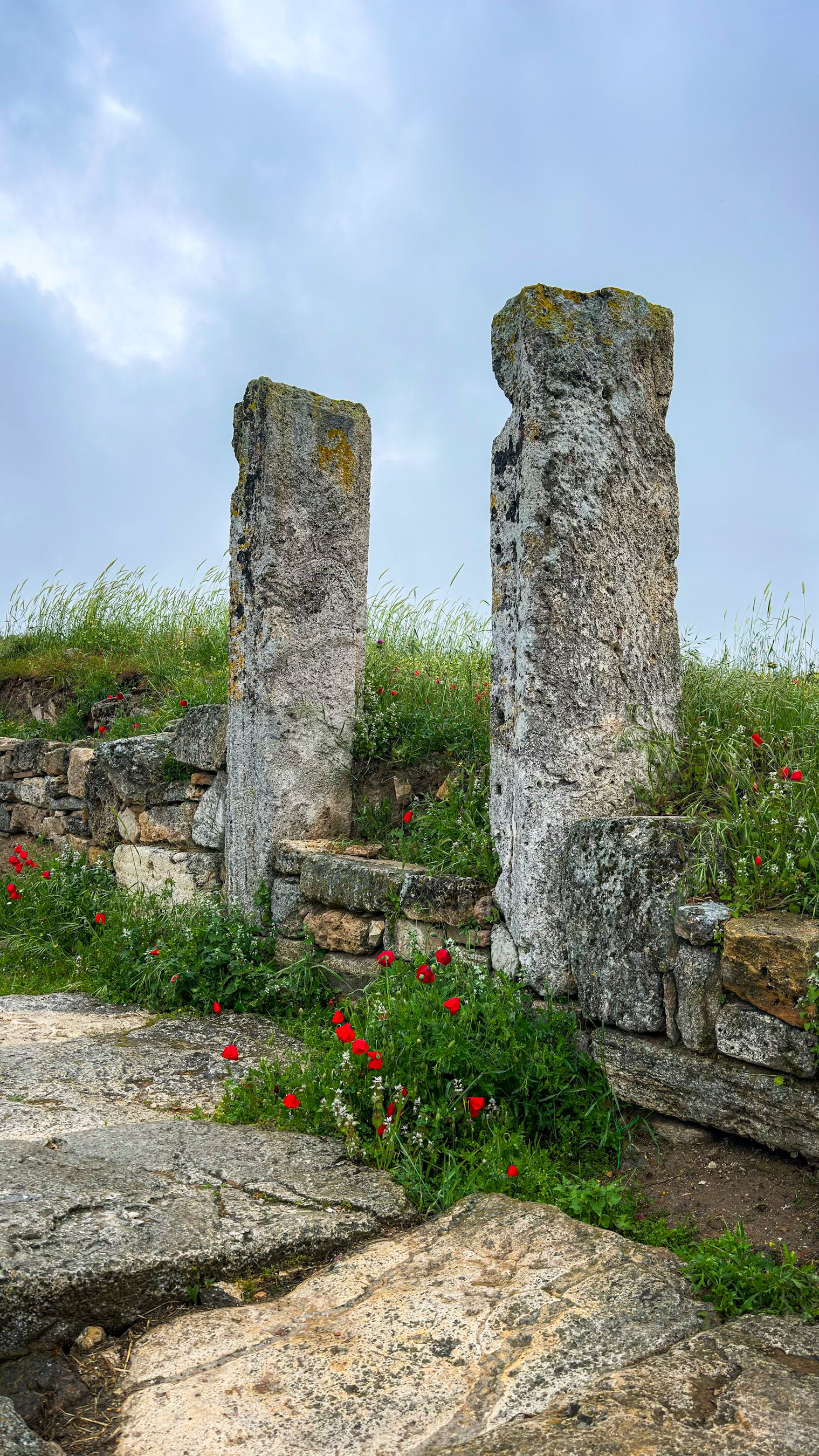 Fotomural Explora antiguas ruinas de piedra rodeadas de vibrantes amapolas bajo un cielo nublado.