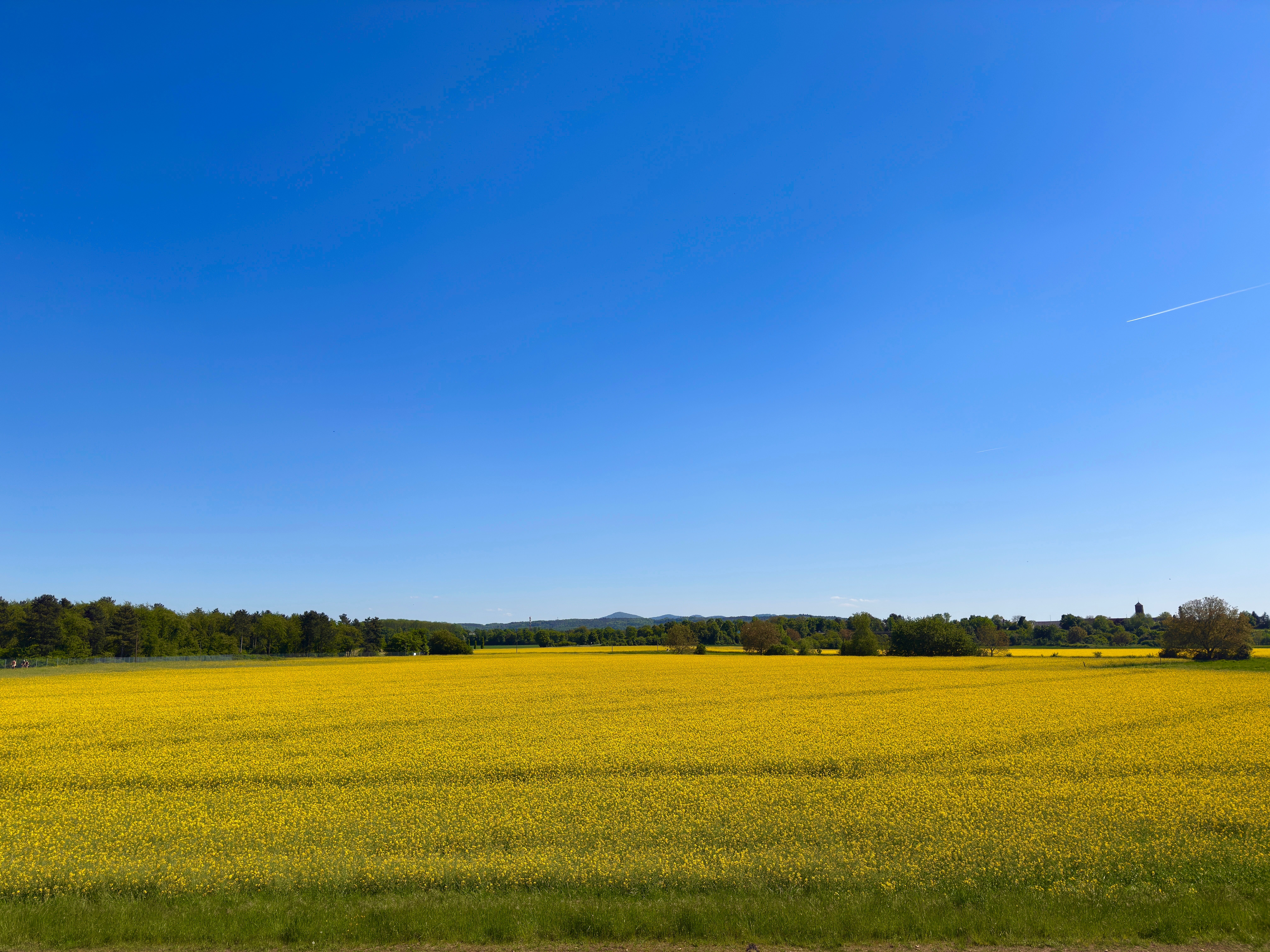 Les grands principes de l'écologie bio à connaître