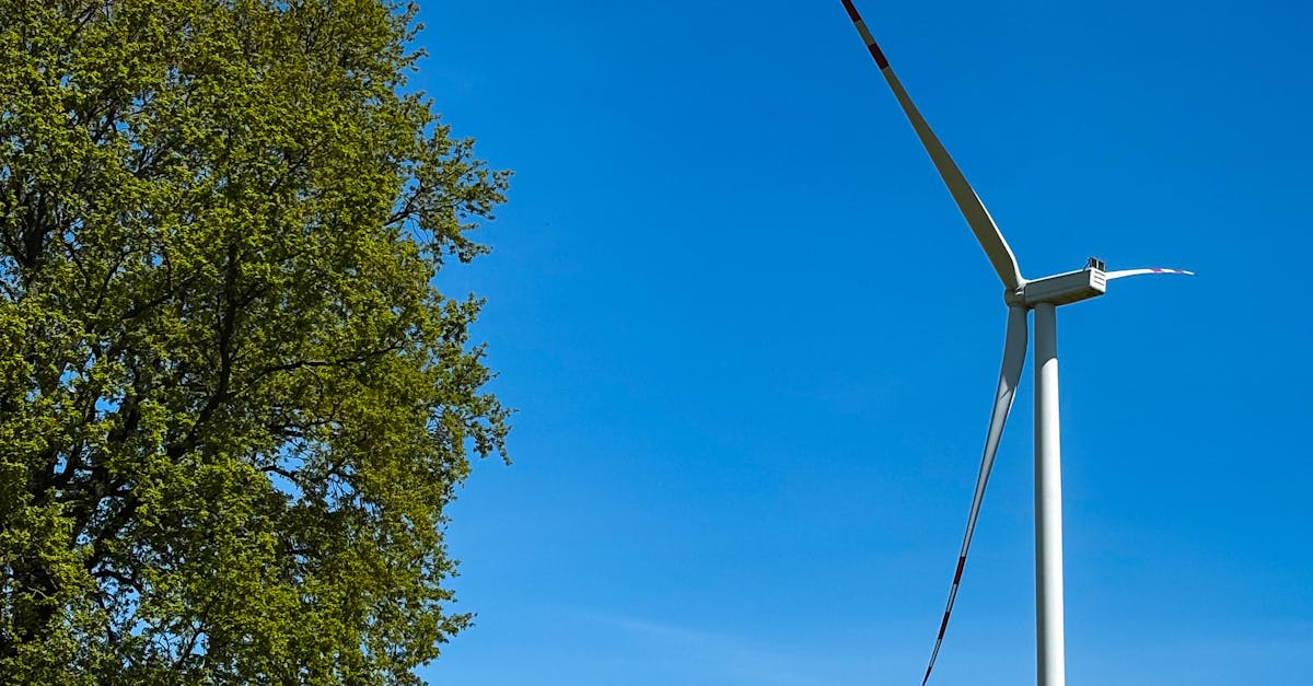 因應國際變局 TEEIA力挺台電撥補穩定電價
