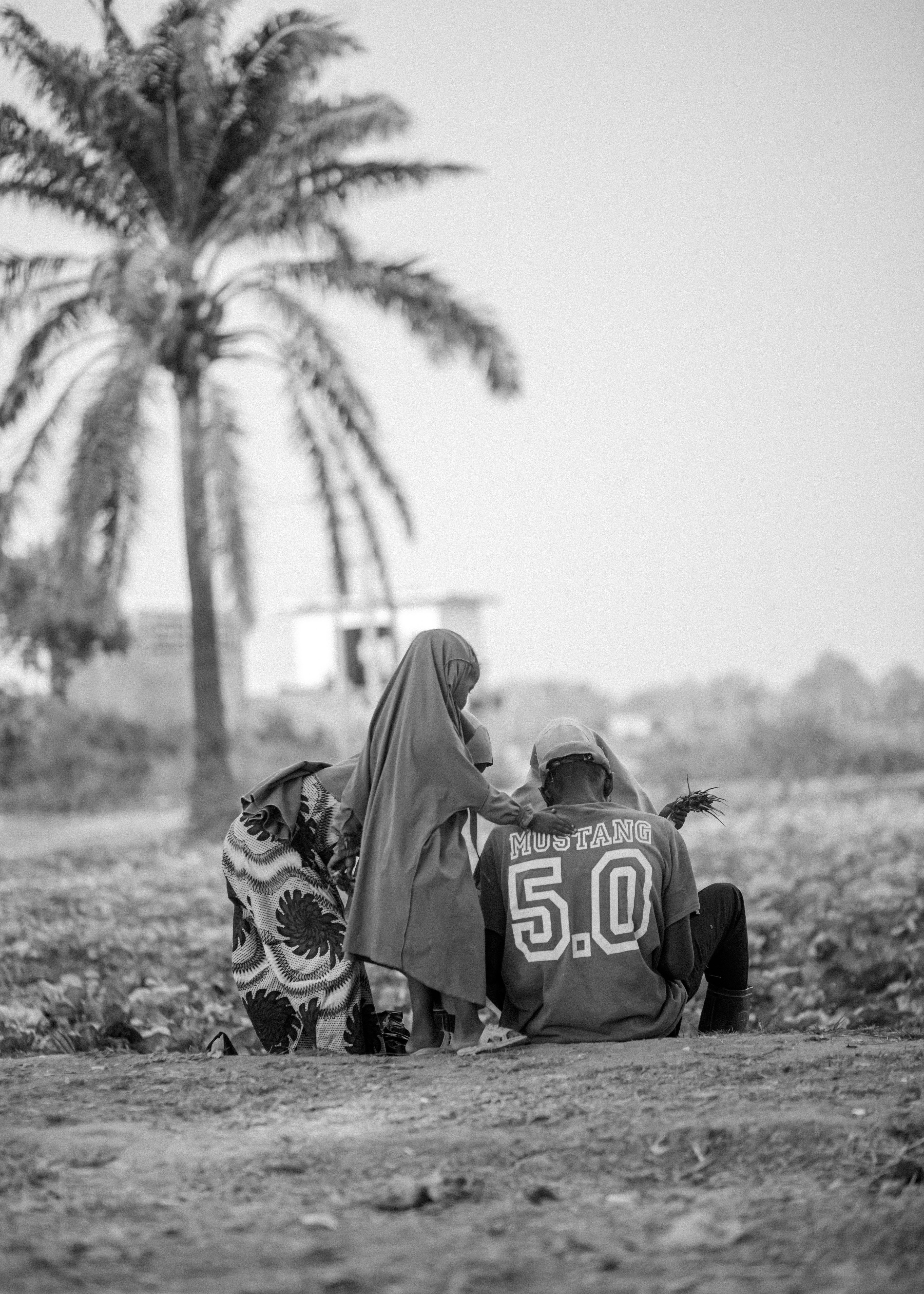 A serene black and white photo of a family gathering outdoors under a palm tree.