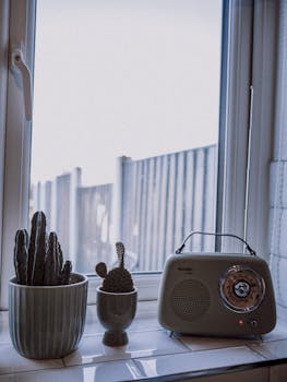 Retro radio with cacti on windowsill, evoking vintage vibes.