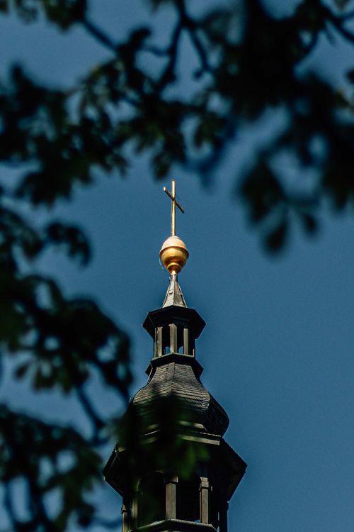 Free A church steeple adorned with a golden cross framed by tree branches against a clear blue sky. Stock Photo