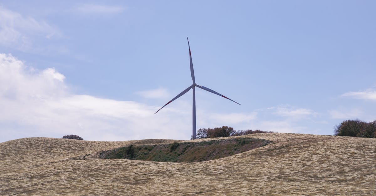 逢甲大學攜手國際成立淨零技術聯盟,推動綠色轉型新契機