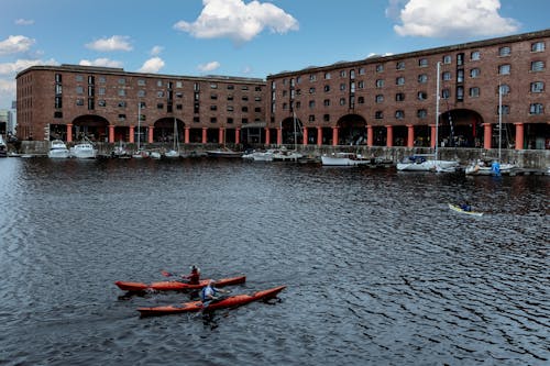 Free stock photo of bay, dock, kayak
