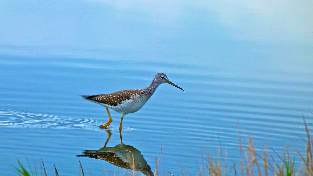 Trattamenti viso e corpo con prodotti naturali
