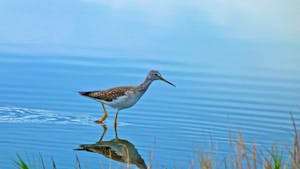 Benessere in autunno