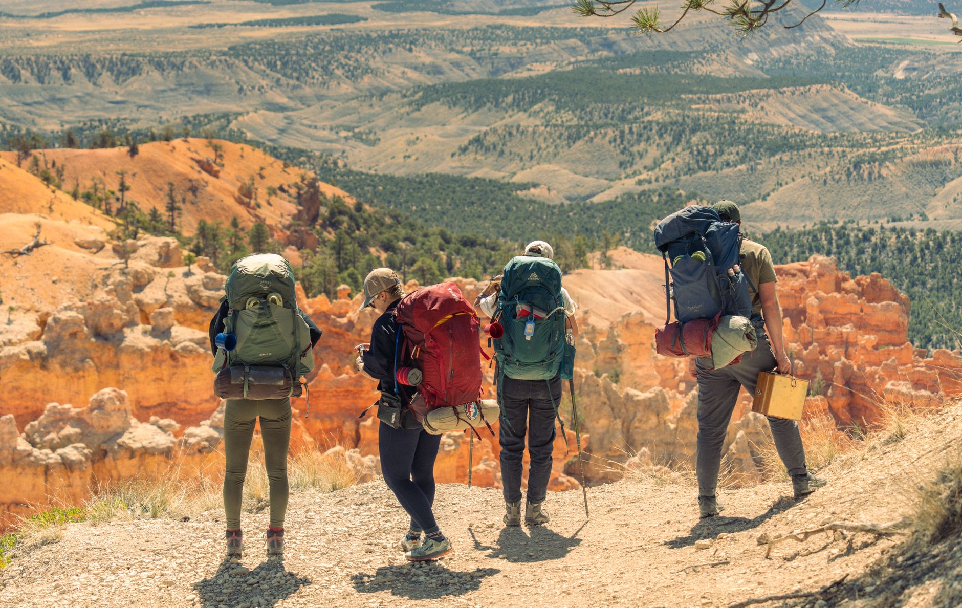 Best Hiking Backpacks (2026)