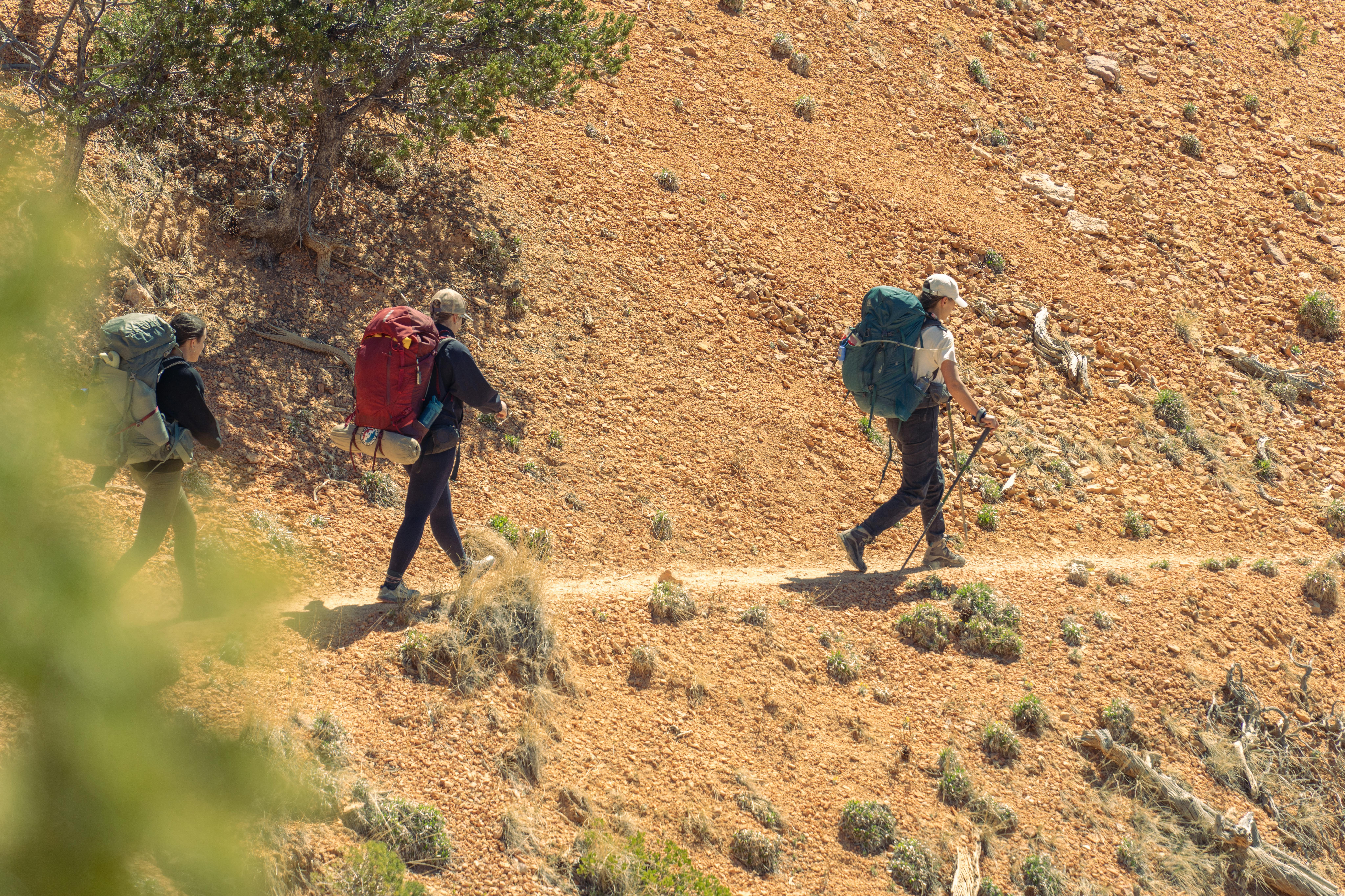 Outdoor Adventure Expo returns to Destin Commons April 5-6 — Photo by Alex Moliski on Pexels