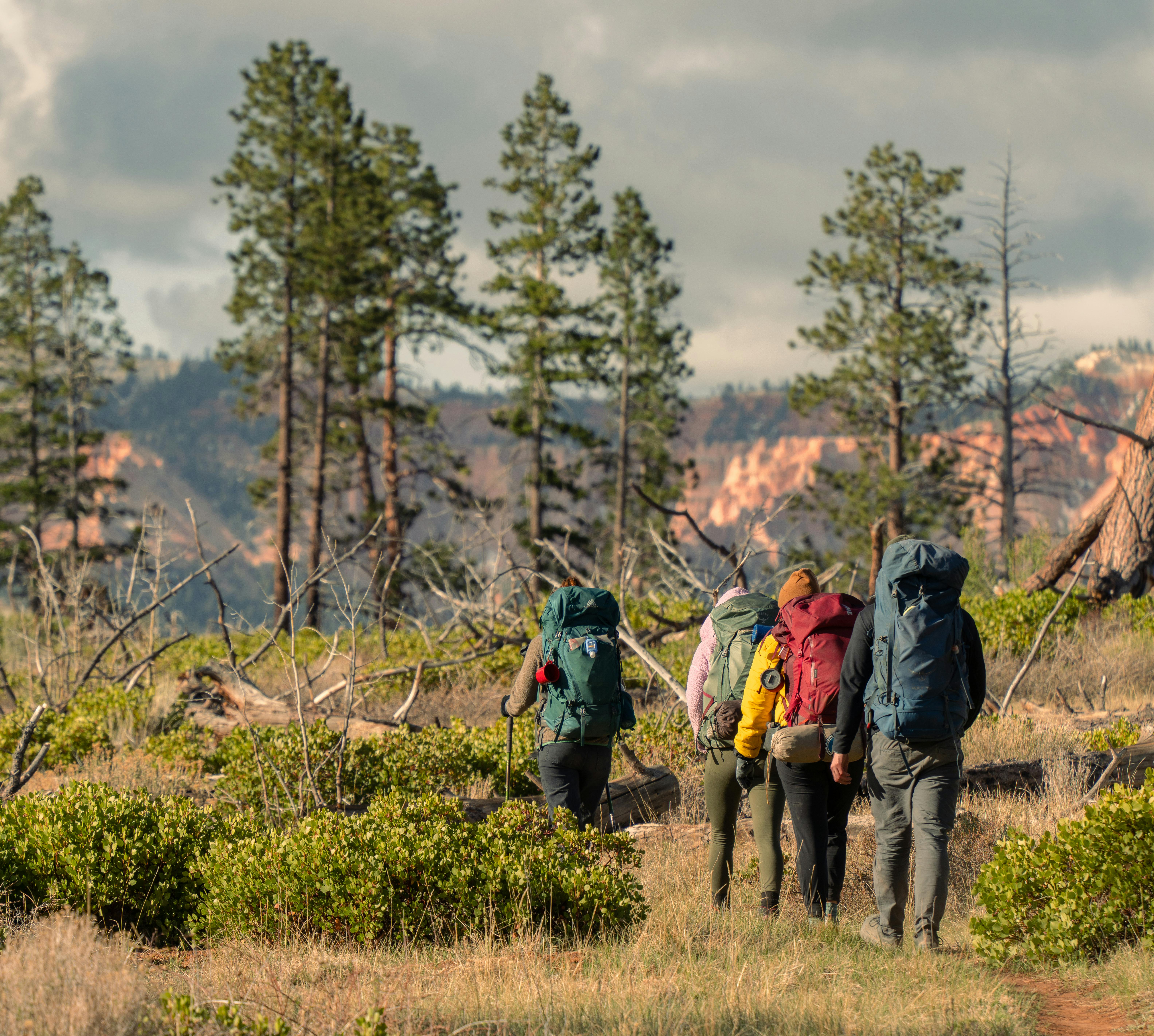 Gossamer Gear Mariposa 60 Review — Photo by Alex Moliski on Pexels