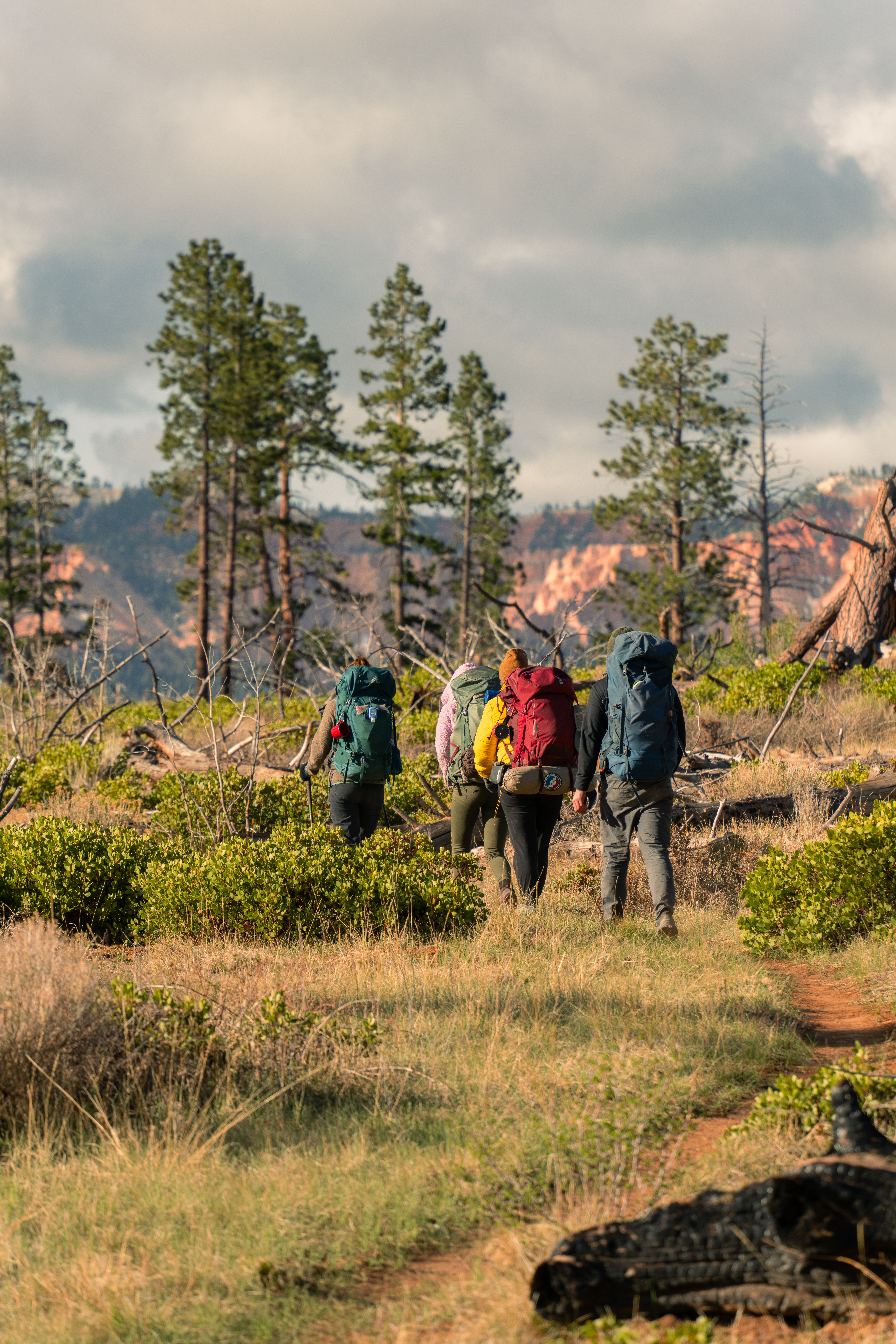 Group of hikers exploring scenic trails in Bryce Canyon National Park Utah
