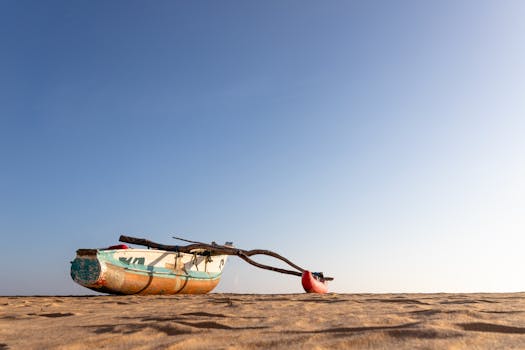 A traditional fishing boat rests on the sandy coast of Sri Lanka under a clear blue sky.