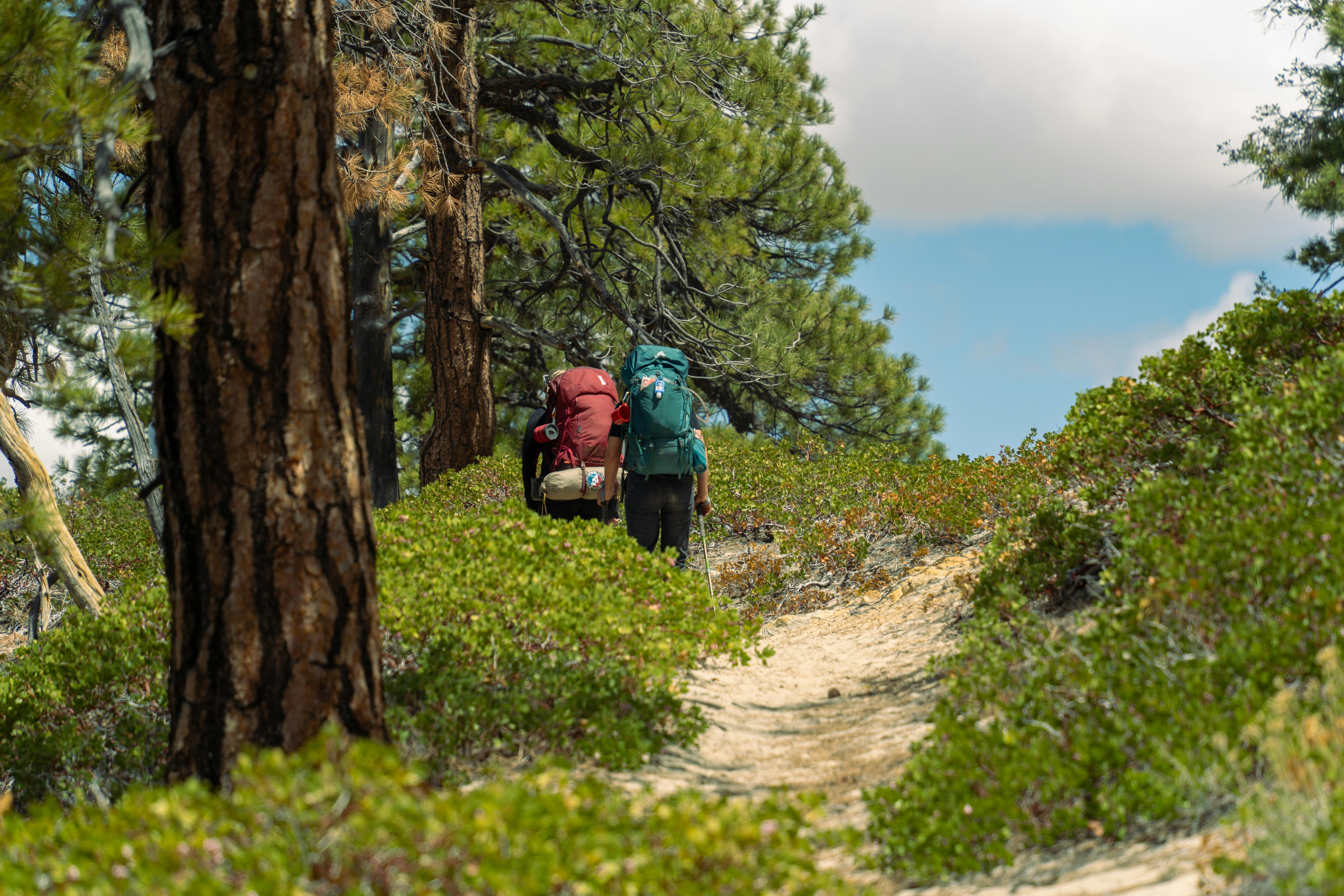gear reviews gear review lab — Photo by Alex Moliski on Pexels