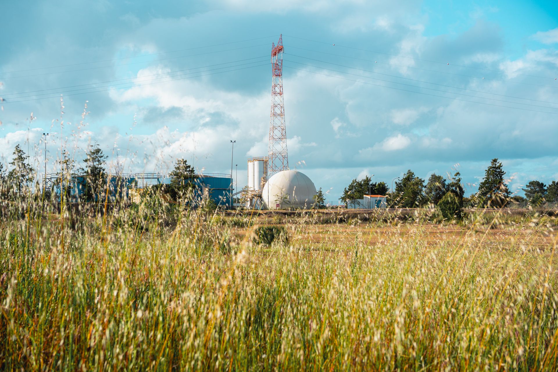 A lush field with an industrial facility and communication tower under a bright blue sky.