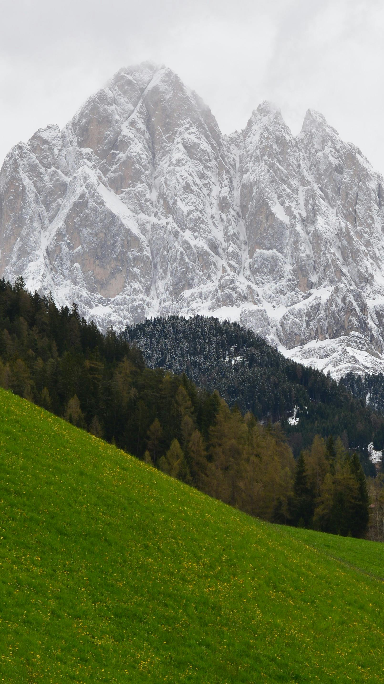 Captivating view of the snowy Italian Alps with lush green fields, perfect for travel and adventure.