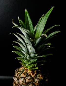 Close-up of a pineapple with vivid green leaves set against a dramatic black background.