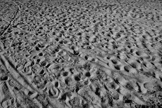 Black and white image of sandy ground with footprints and tire tracks creating textured patterns.