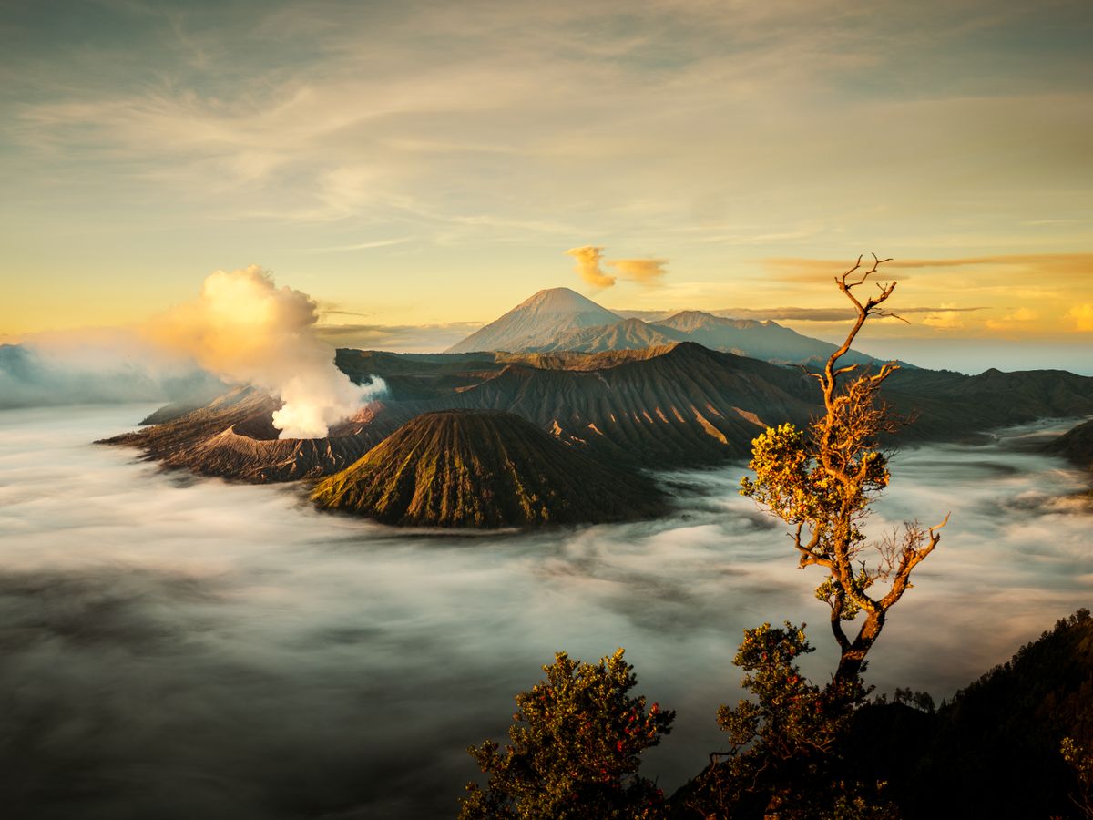 5 Day Balance Wellness Escape Retreat in Bali, Indonesia 3