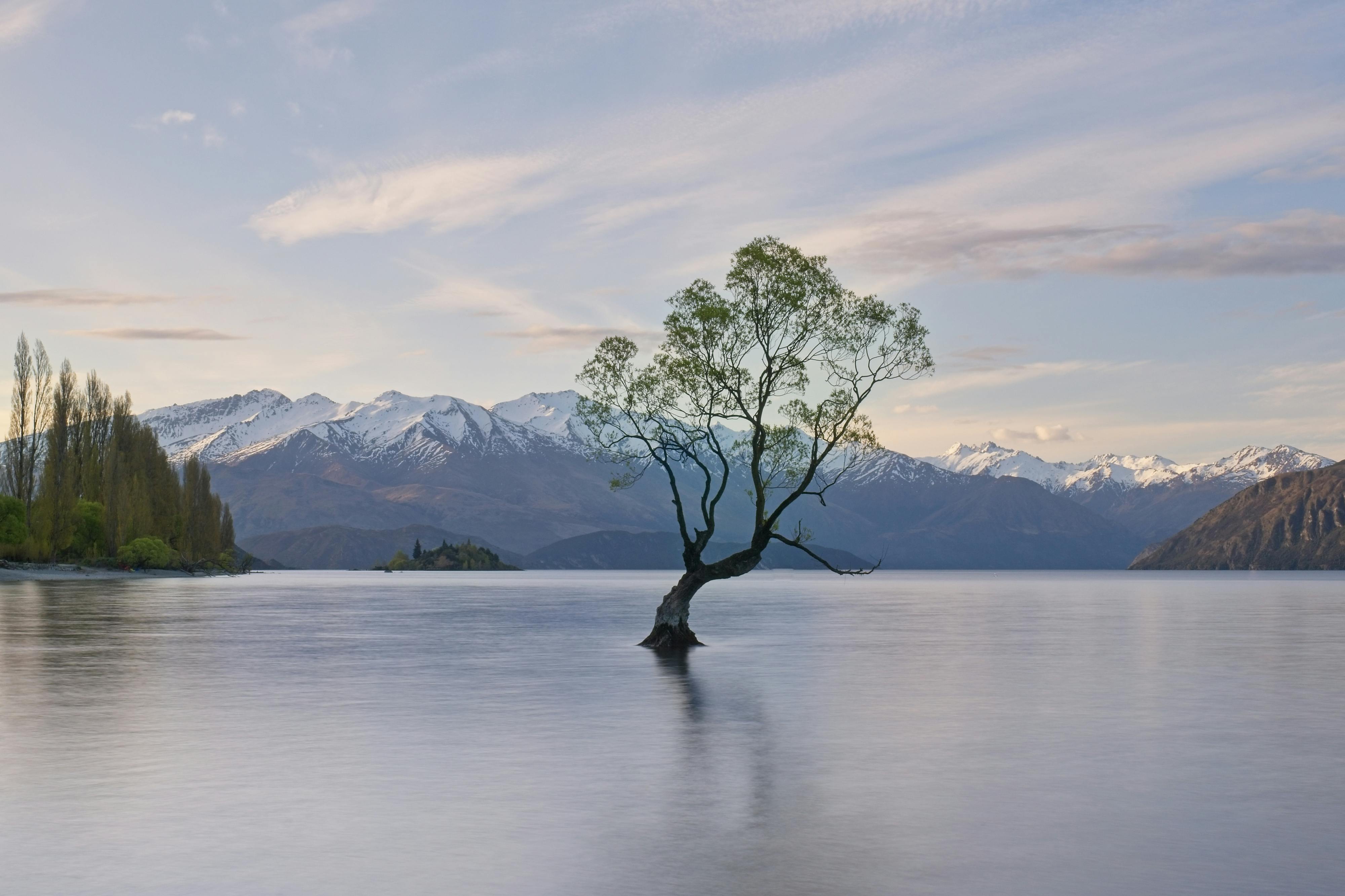 general travel new zealand — Photo by Kaiser Concha on Pexels
