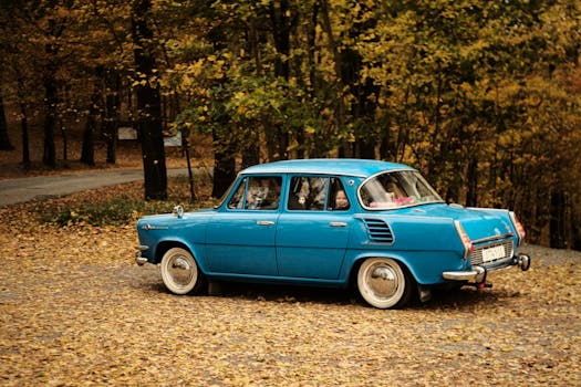 Vintage blue car parked amidst autumn leaves in a serene forest setting.