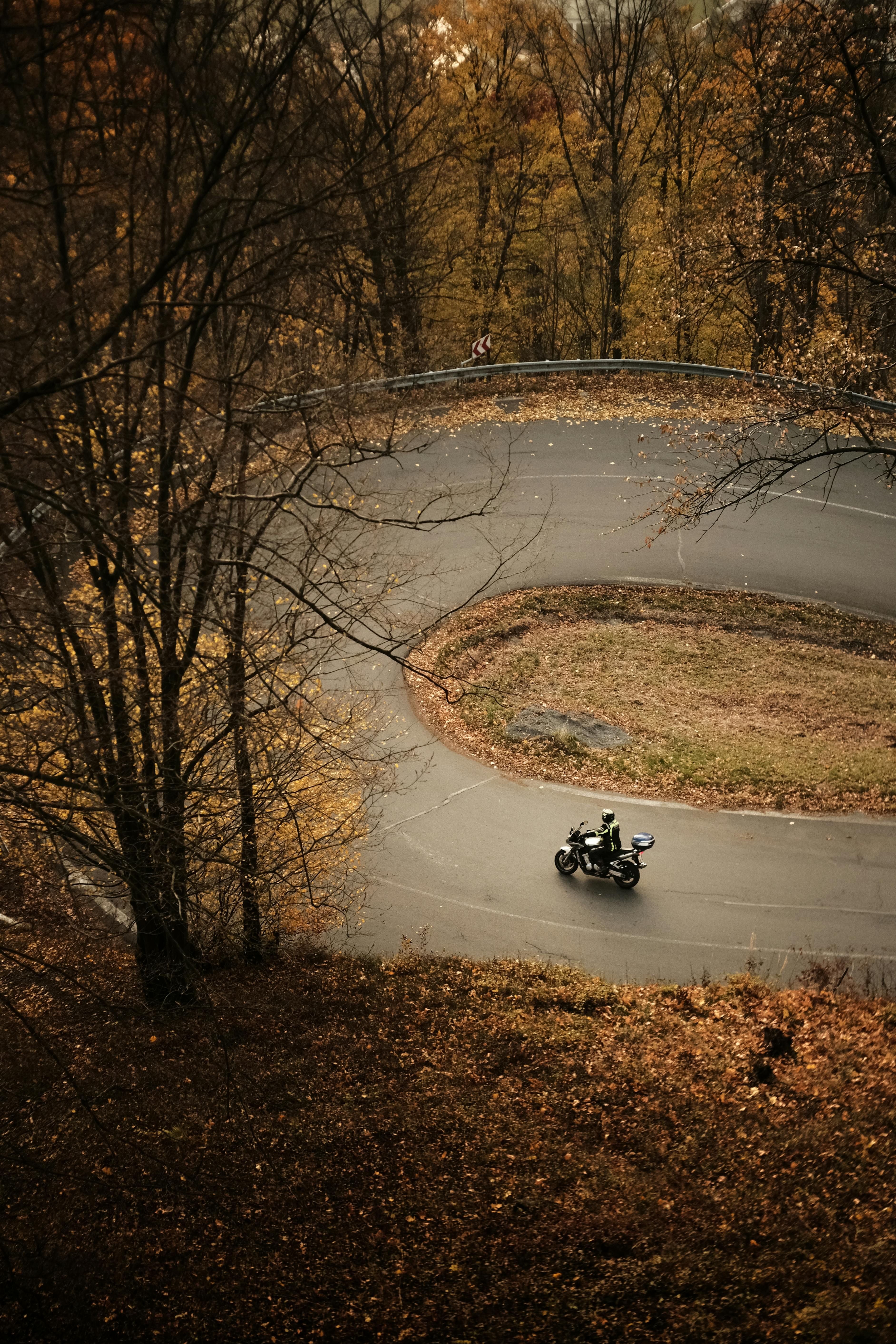 A motorcyclist rides through a scenic winding road in a forest during autumn, capturing the essence of adventure and fall colors.