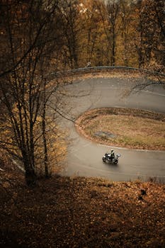 A motorcyclist rides through a scenic winding road in a forest during autumn, capturing the essence of adventure and fall colors.
