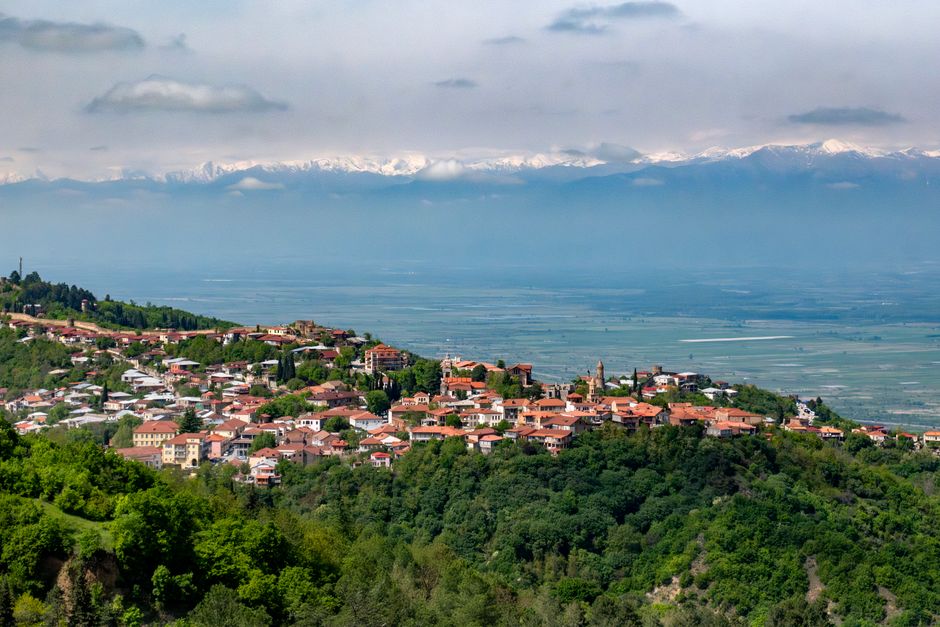 Scenic vineyards in the Kakheti wine region of Georgia