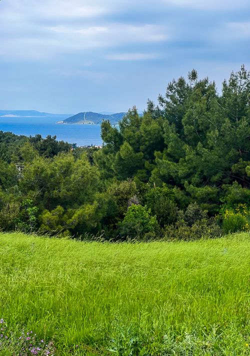 Free nature  Stock Photo