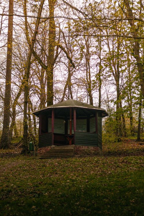 Free An isolated gazebo surrounded by serene woodland, offering a peaceful retreat. Stock Photo