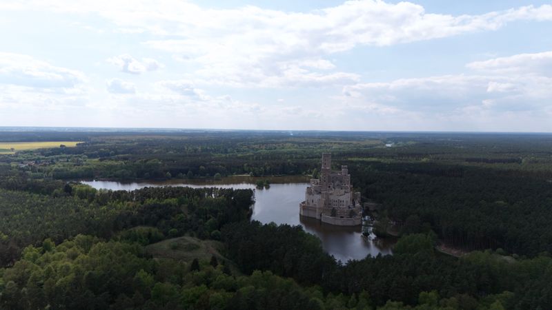 Aerial View of Majestic Castle Amidst Forest · Free Stock Photo