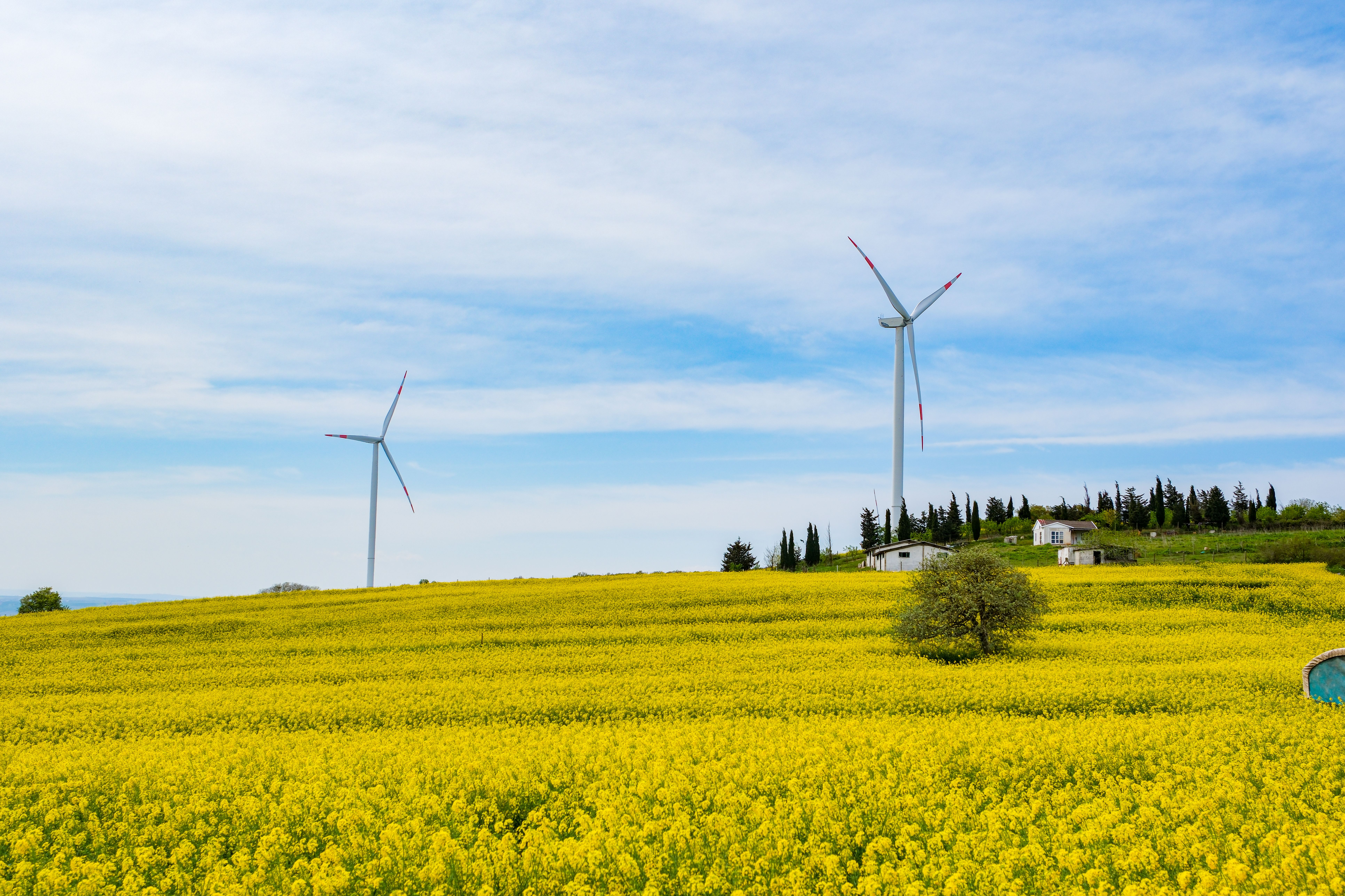 Perak Strengthens Green Energy Push With Hydro Life Extension Programme — Photo by Ali Akdemir on Pexels