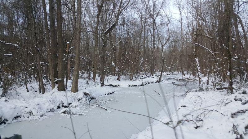 Web App