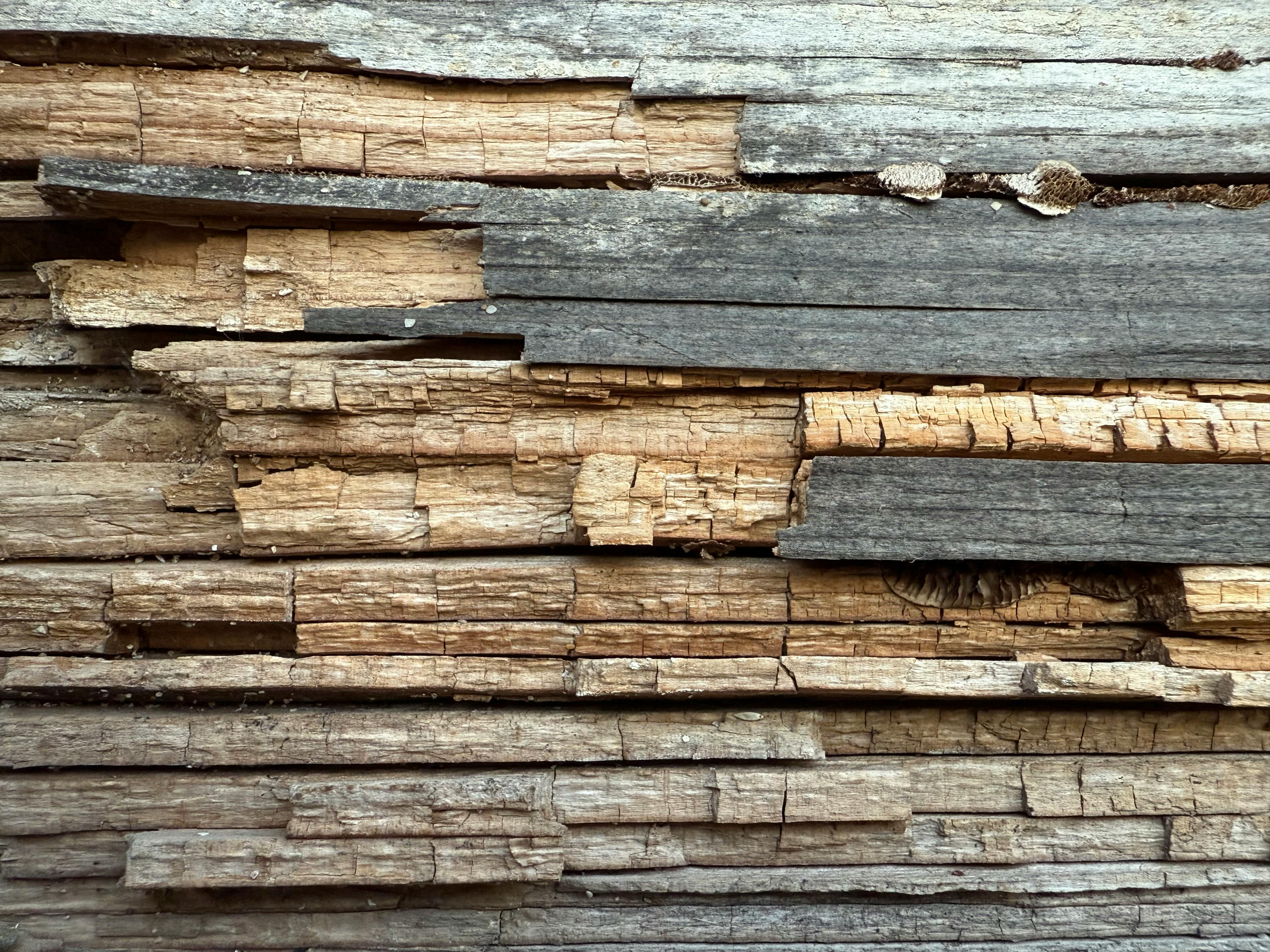 Detailed close-up of an aged, weathered wooden wall showing textures and patterns.