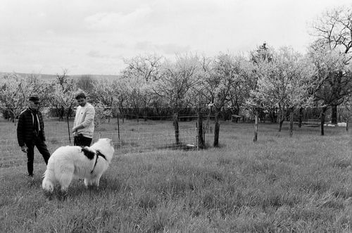 Free Two people with a dog in a rural French landscape, showcasing spring blossoms. Stock Photo