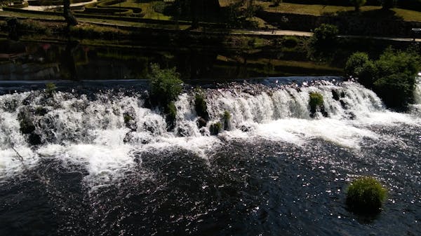 Organic kheti mein paudhon ki dekhbhal