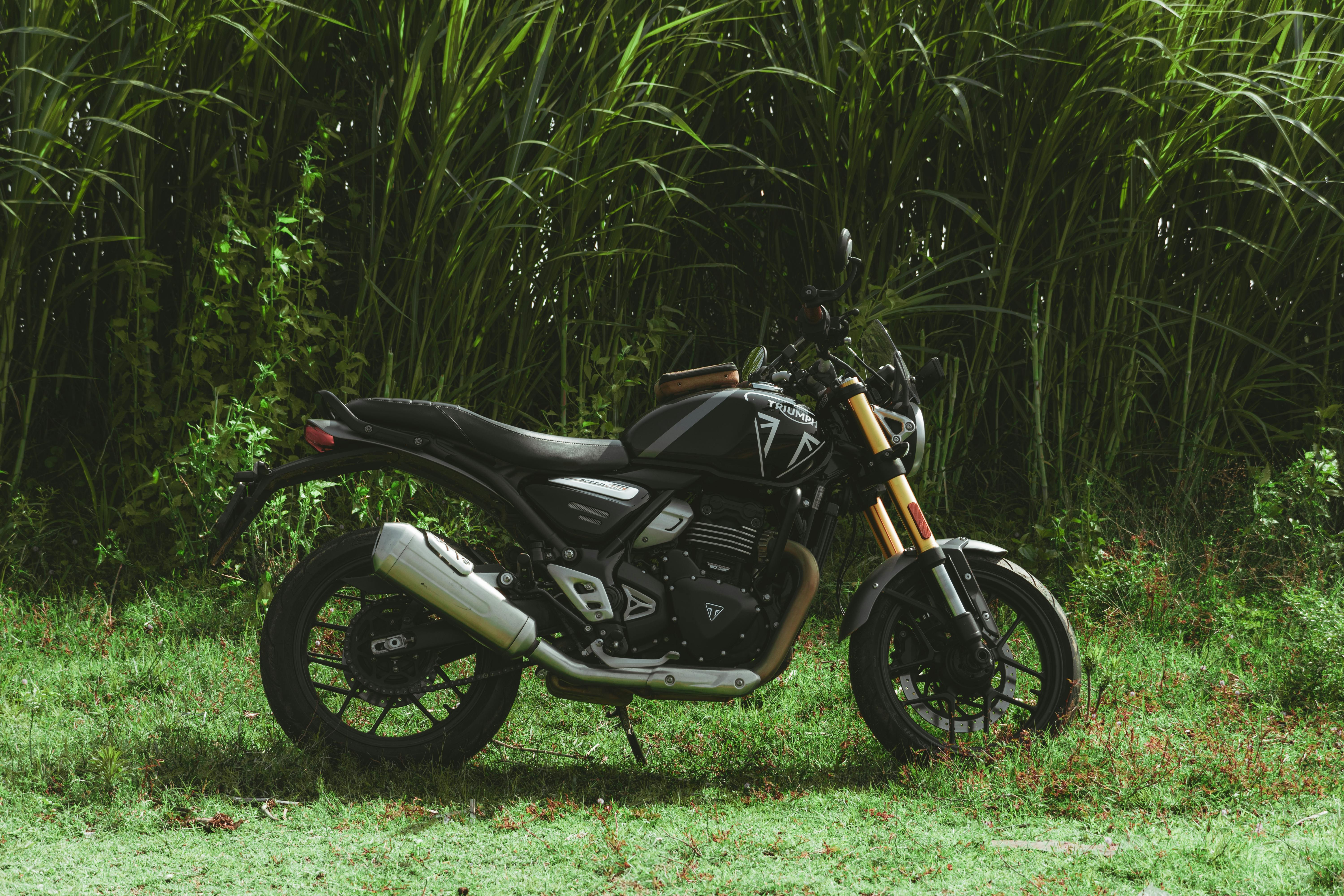 A stylish black motorcycle parked against a backdrop of lush greenery.