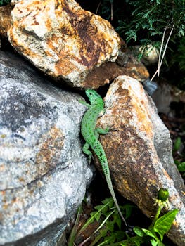 Image by 📷victoria