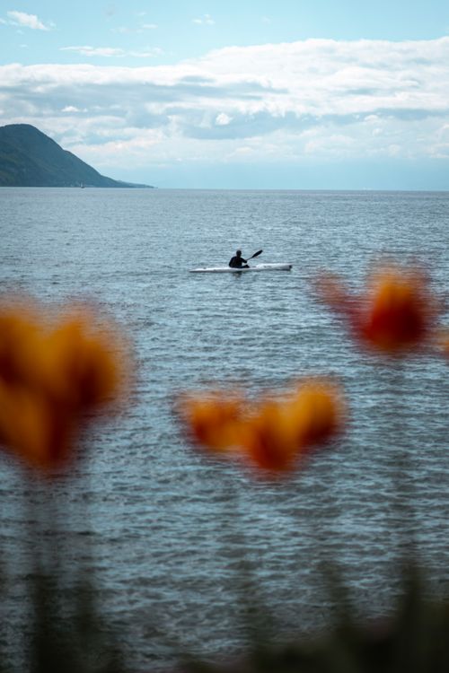 Free A serene scene of a lone kayaker on Lake Geneva framed by vibrant flowers. Stock Photo