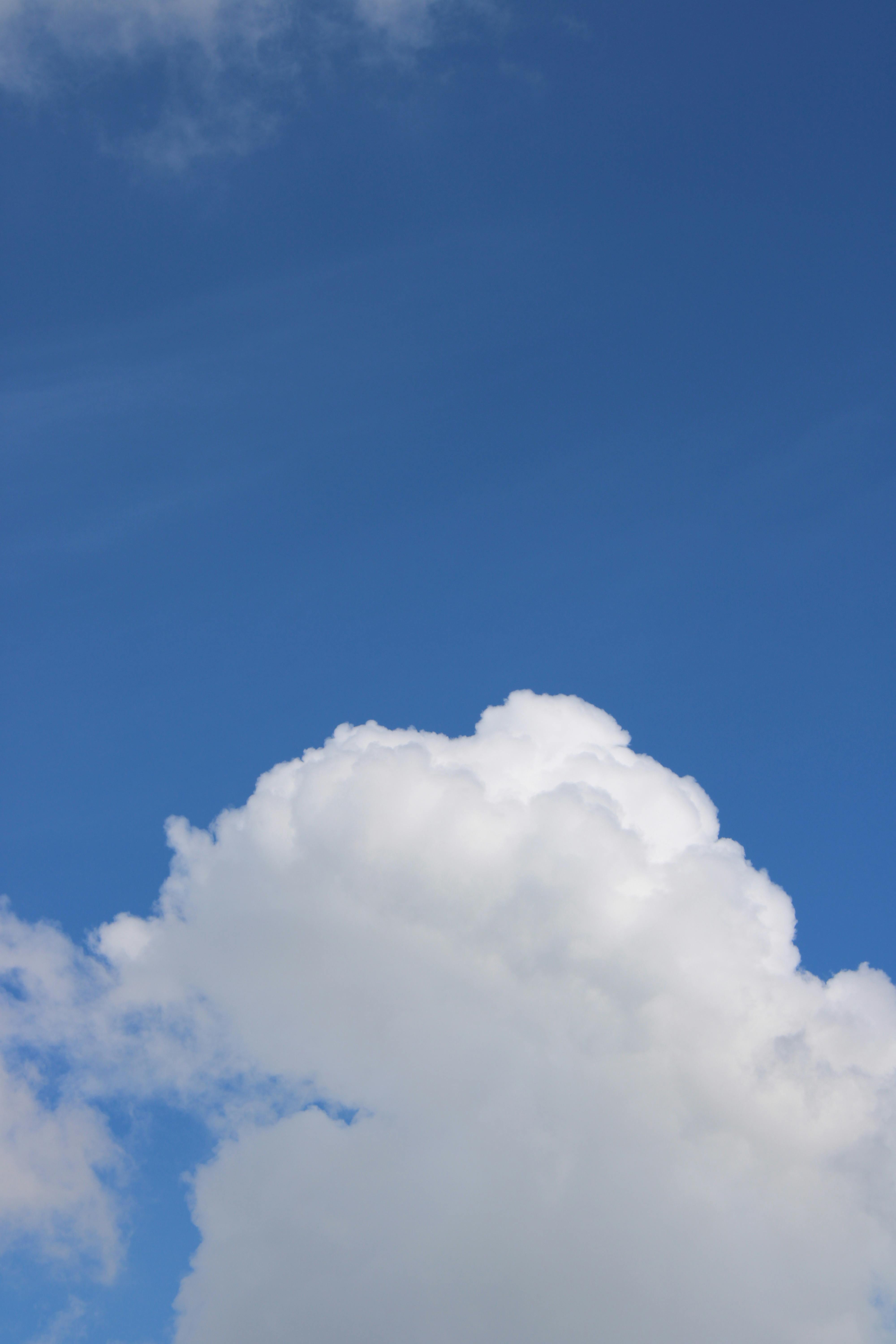 Gratis Fotos de stock gratuitas de al aire libre, alta definición, ambiente primaveral Foto de stock