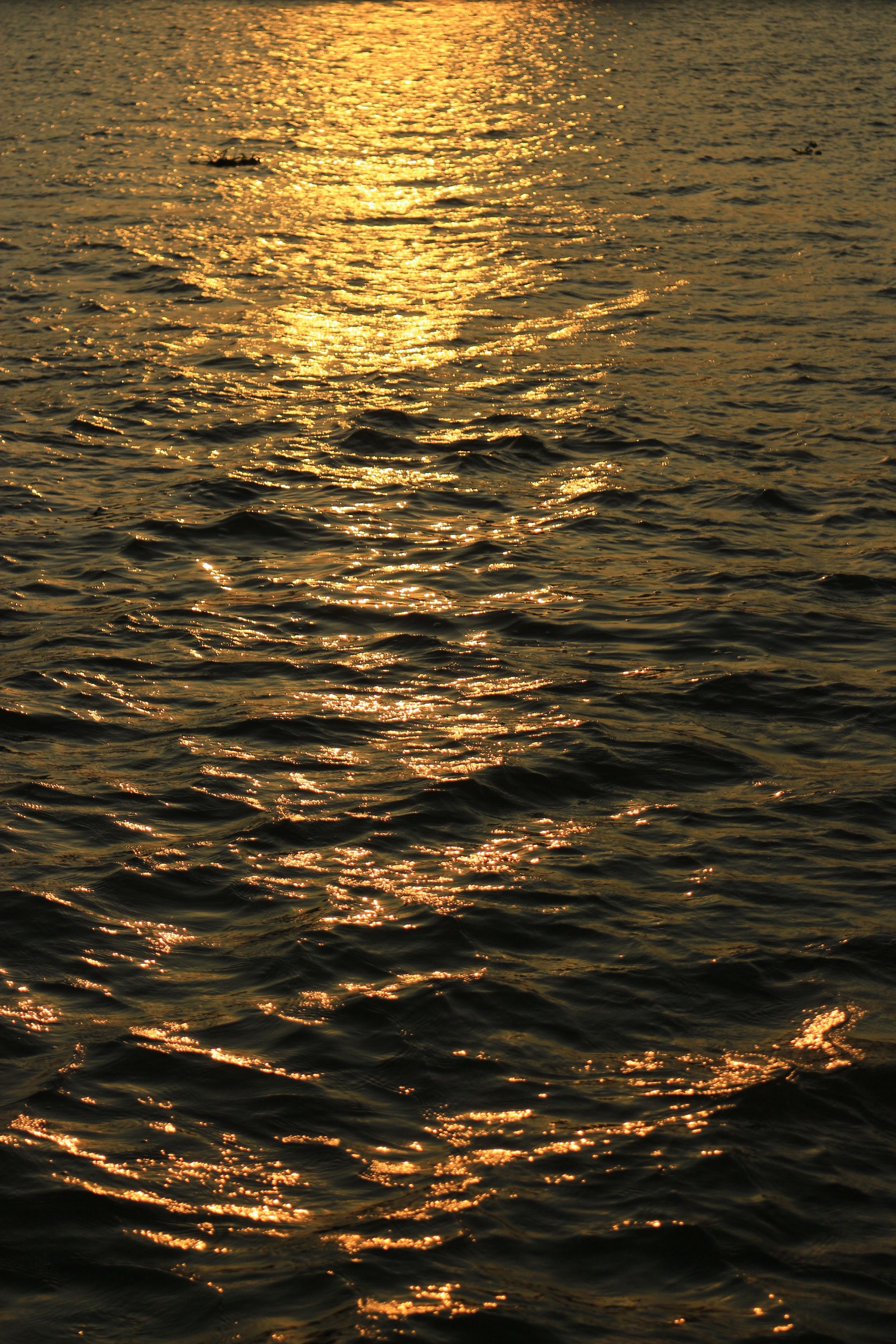 Golden Sunset Reflection on Water Surface · Free Stock Photo