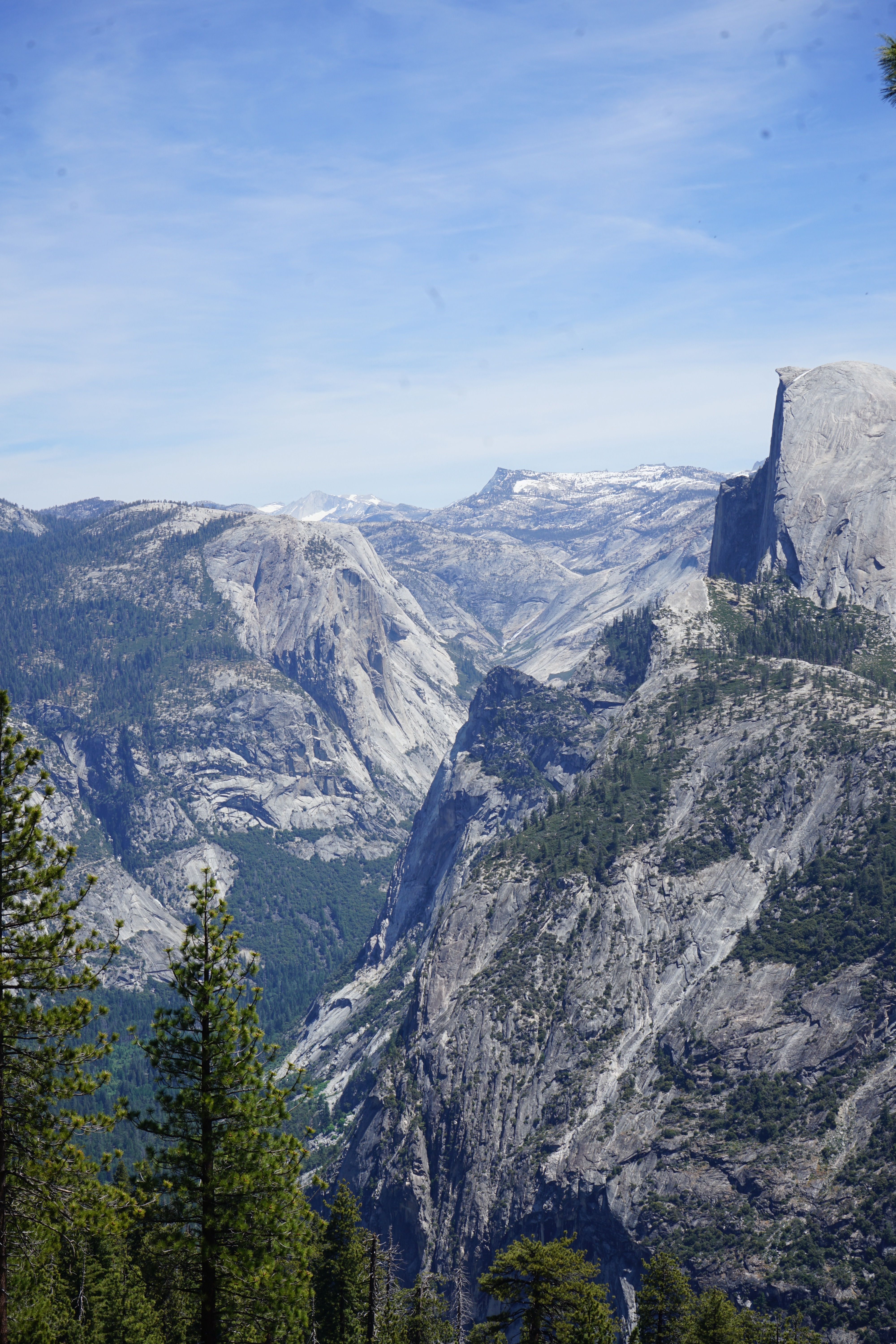 Granite cliffs and pine forest in Yosemite Valley under clear sky