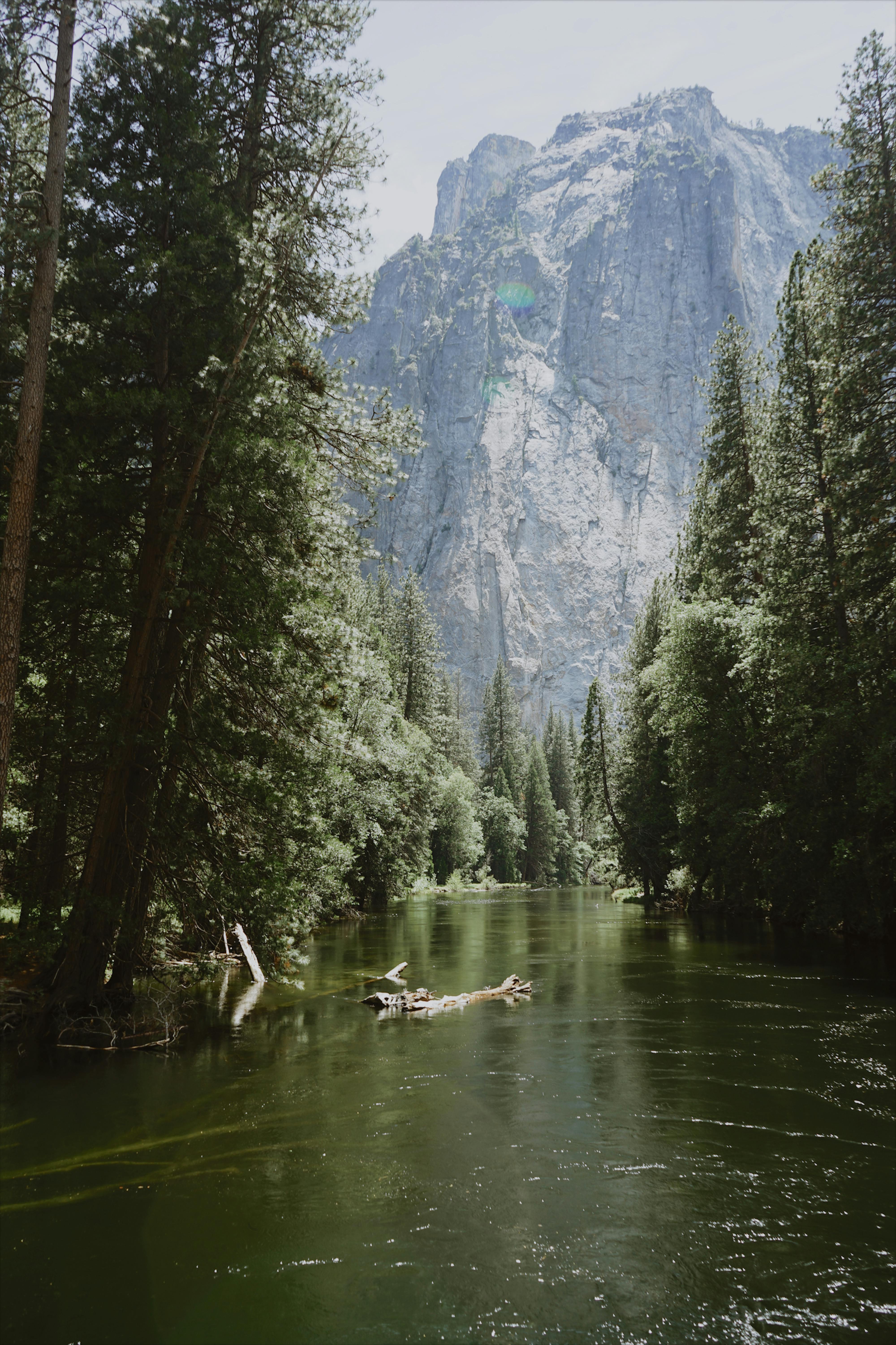 1 000 000+ parasta kuvaa aiheesta Feb+13+2025+jessey+roger+project ...