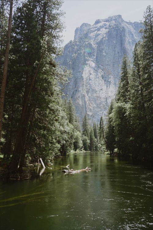 Free Stunning view of Yosemite Valley with Merced River and El Capitan in summer. Stock Photo