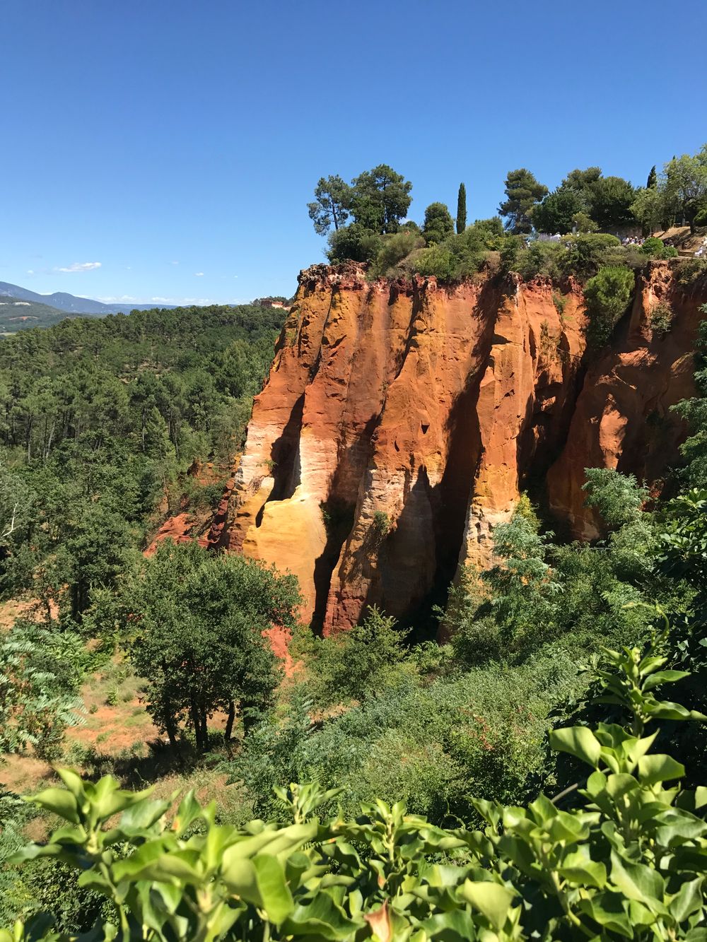 Acantilados de ocre de Roussillon en la Provenza